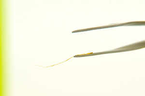Clinic-of-Orthopedics-and-Traumatology2.jpg